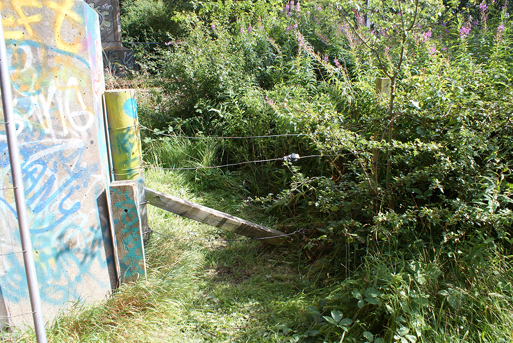 Inappropriate railway fencing near Musselburgh, East Lothian