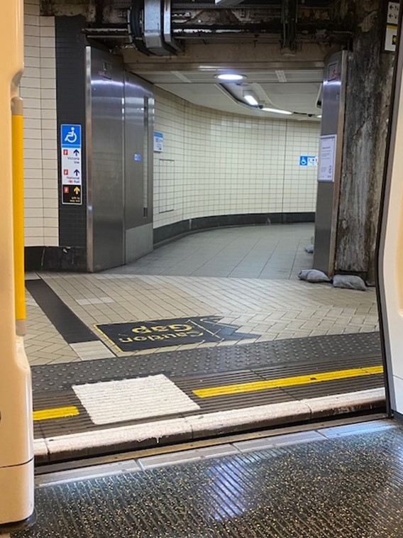 Platform Train Interface on the District Line